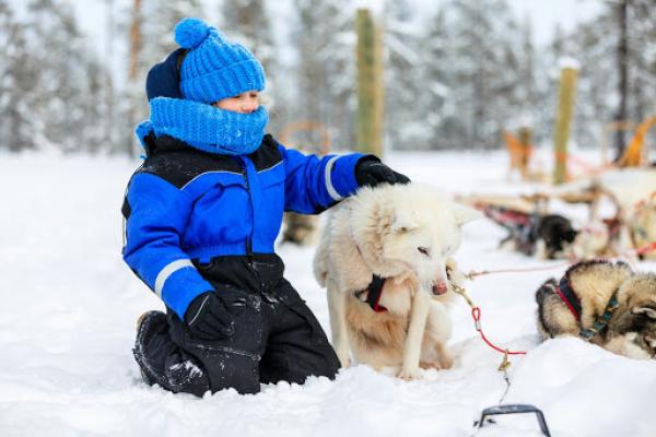 Dog Sledding Mammoth, Dog Sledding Near Me, Dog Sled Tours, Mammoth Lakes Winter, Dog Sledding History, Mammoth Lakes Condos, Sledding in Mammoth, Husky Sled Dogs