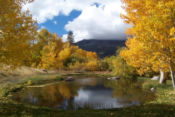 Mammoth Lakes Fall Colors, Best hikes in Mammoth Lakes, Mammoth Lakes Basin, Mammoth Creek, Mammoth Lakes 